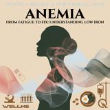 Anemia - Where Did All My Iron Go? The Hidden Causes Draining Your Stores