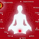 El Universo de Las Piedras y los Cristales:  Los cristales del Chakra de la Raiz