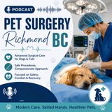 Understanding Modern Pet Surgery Care