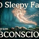 How To Reprogram Your Subconscious Mind _ Sleep Science