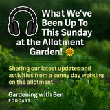 🎧 🌞 What We’ve Been Up To This Sunday at the Allotment Garden!