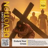 MGD: Endure Your Cross