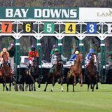 TAMPA BAY DOWNS R11(TAMPA BAY DERBY) SELECTIONS