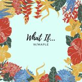 Introduction for What If...