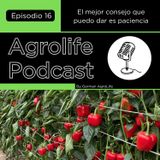 Agrolife Podcast #016 El mejor consejo que puedo dar es paciencia