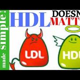 HDL doesn’t matter | #Keep’n it simple