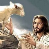 L'agnello (animale) al posto dell Agnello di Dio
