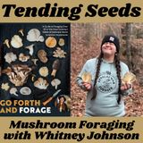 Ep 64 - Mushroom Foraging with Whitney Johnson