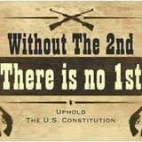 United States Amendements & Gun Laws