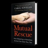 How Adopting a Homeless Animal Can Save You, Too, with Carol Novello