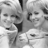 Addio alle gemelle Kessler