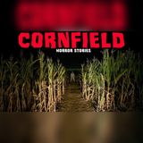 7 Cornfield Encounters Survivors Still Can't Explain - Horror Stories