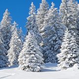Survival Medicine Hour: Hypothermia, Winter Strandings, Avalanches