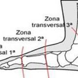 Cuerpo mente: el significado de tus pies - Humanauta སྲི་རམ།