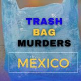 The Trash Bag Murders