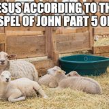 Jesus According To The Gospel Of John Part 5 of 10