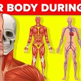 What Happens to Your Body While You Are Having Sex