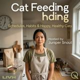 Cat Feeding - From Kitten to Senior: Building the Right Schedule for Every Life Stage