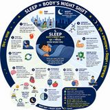 EP-308| What Does Your Body Do While You 🔄🔄Sleep? 🔄🌙 | আপনি ঘুমালে শরীর কী করে?| wellness podcast