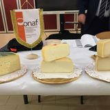 Il formaggio “prende a forma” a Thiene. In cinquanta al corso per assaggiatori esperti