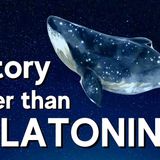This Bedtime Story Works Better Than Melatonin 🐋 The Sleepy Sounds of the Ocean _ RELAXING Story