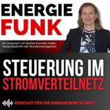 Steuerung im Stromverteilnetz  - E&M Energiefunk der Podcast für die Energiewirtschaft