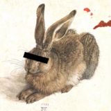 Lichtgeschwindigkeit: Die Probanden-Tagebücher (1) von Miriam Sachs