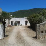 Il Saio