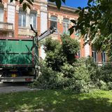Un grosso ramo si schianta nel cortile della scuola Zanella, per fortuna vuota