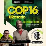 Cop 16: Incendios Forestales