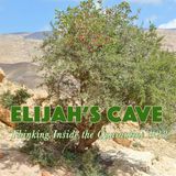 Elijah (2) at the cave (Thinking Inside the Quarantine #28)