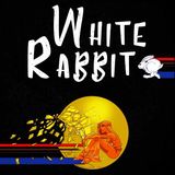 THE SIMPLE RADICALS - White Rabbit Interview