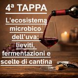 4ª TAPPA - Percorso di avvicinamento al VINO NATURALE