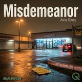 Misdemeanor - Who Gets Charged and Who Gets a Pass