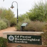 Yuma, Arizona's Wetlands and Gardens - Richard Stamp and Espey Matlock on Big Blend Radio