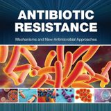 Antibiotic Resistance: Mechanisms and New Antimicrobial Approaches