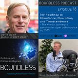 EP18: David Wood: The Roadmap to Abundance, Flourishing and Transcendence 2035