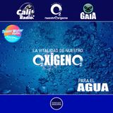 NUESTRO OXÍGENO La vitalidad de nuestro oxígeno para el agua