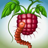 De frambozenworm | Onbekende Sprookjes