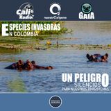 NUESTRO OXÍGENO Especies invasoras en Colombia, un peligro silencioso para nuestros ecosistemas