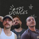FireCast - SPONGES - #175