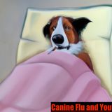 Canine Flu and You- FAQ