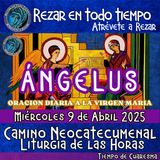 ANGELUS DE HOY MIERCOLES 9 DE ABRIL 2025, 🙏ORACION A NUESTRA MADRE 🌹LA VIRGEN MARIA 🙏.