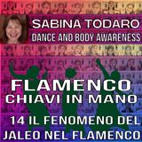 #14 Il fenomeno del Jaleo - Flamenco Chiavi in Mano