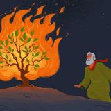 Episode 459 - Preachify Daily Devotional: Lessons from Moses (2)
