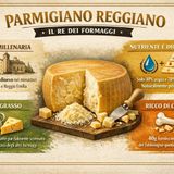 Parmigiano Reggiano: il re dei formaggi tra storia, nutrizione e tradizione