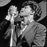 GET ON UP WITH JAMES BROWN A CELEBRATION