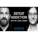 Understanding & Treating Addiction _ Dr. Anna Lembke