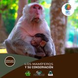 NUESTRO OXÍGENO Los mamíferos y su conservación