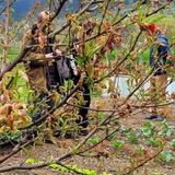 La méthode bio et la permaculture !  avec Jean-jacques, le jardinier d’Ispagnac